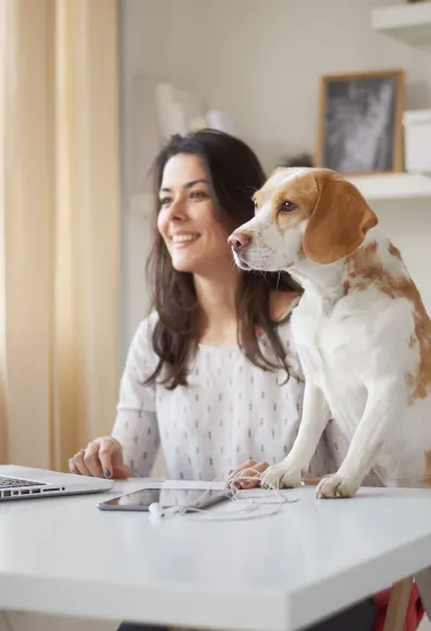 dog and woman looking at a laptop